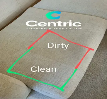 Couch Cleaning Auckland